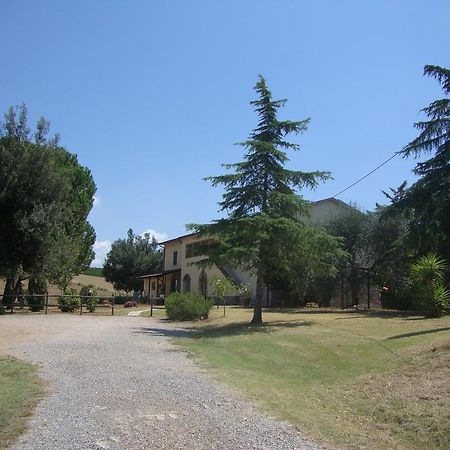 Agriturismo Podere Selvette Campagnatico Exterior photo