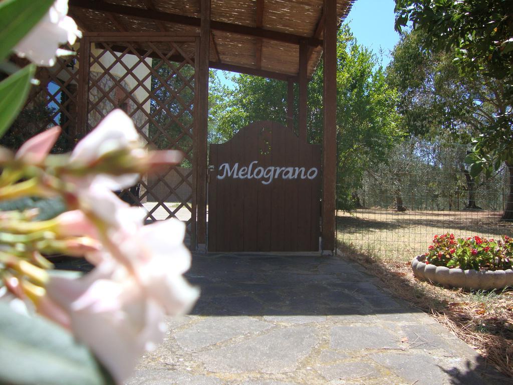Agriturismo Podere Selvette Campagnatico Exterior photo