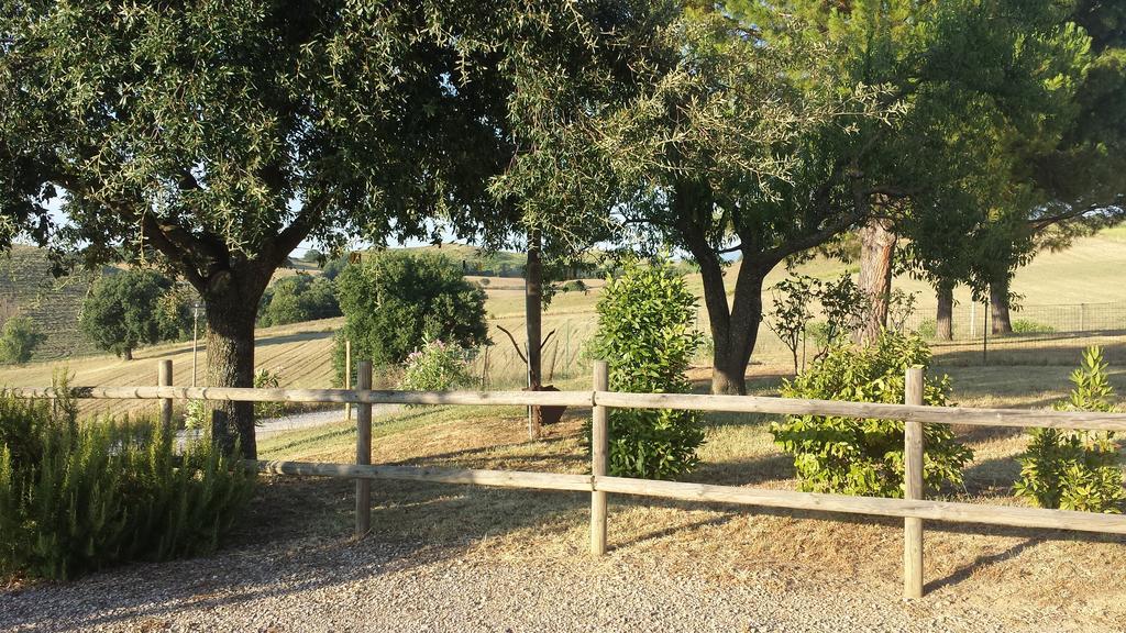 Agriturismo Podere Selvette Campagnatico Exterior photo